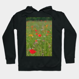 Dreamy wild flower garden Hoodie